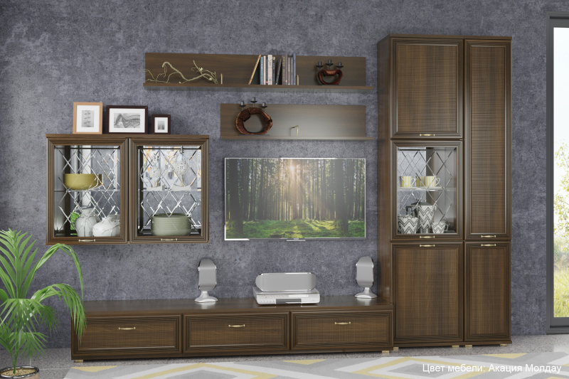 Комплект мебели для гостиной «Карина-1», цвет акация молдау